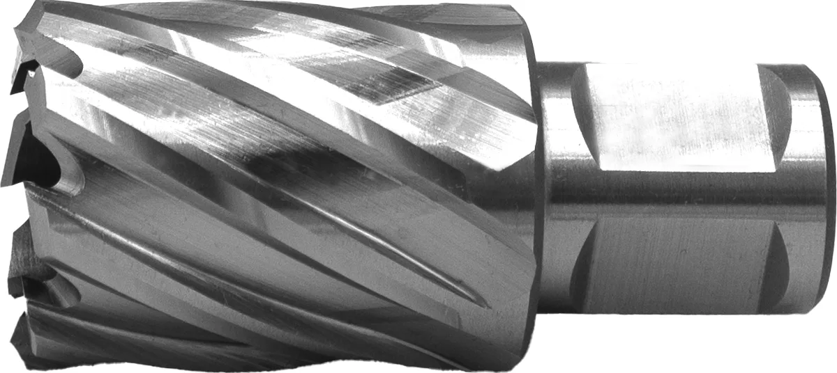 [62.098.1200] 62.098 ECO PRO HSS Kernboor snijdiepte 30 mm (12 mm)