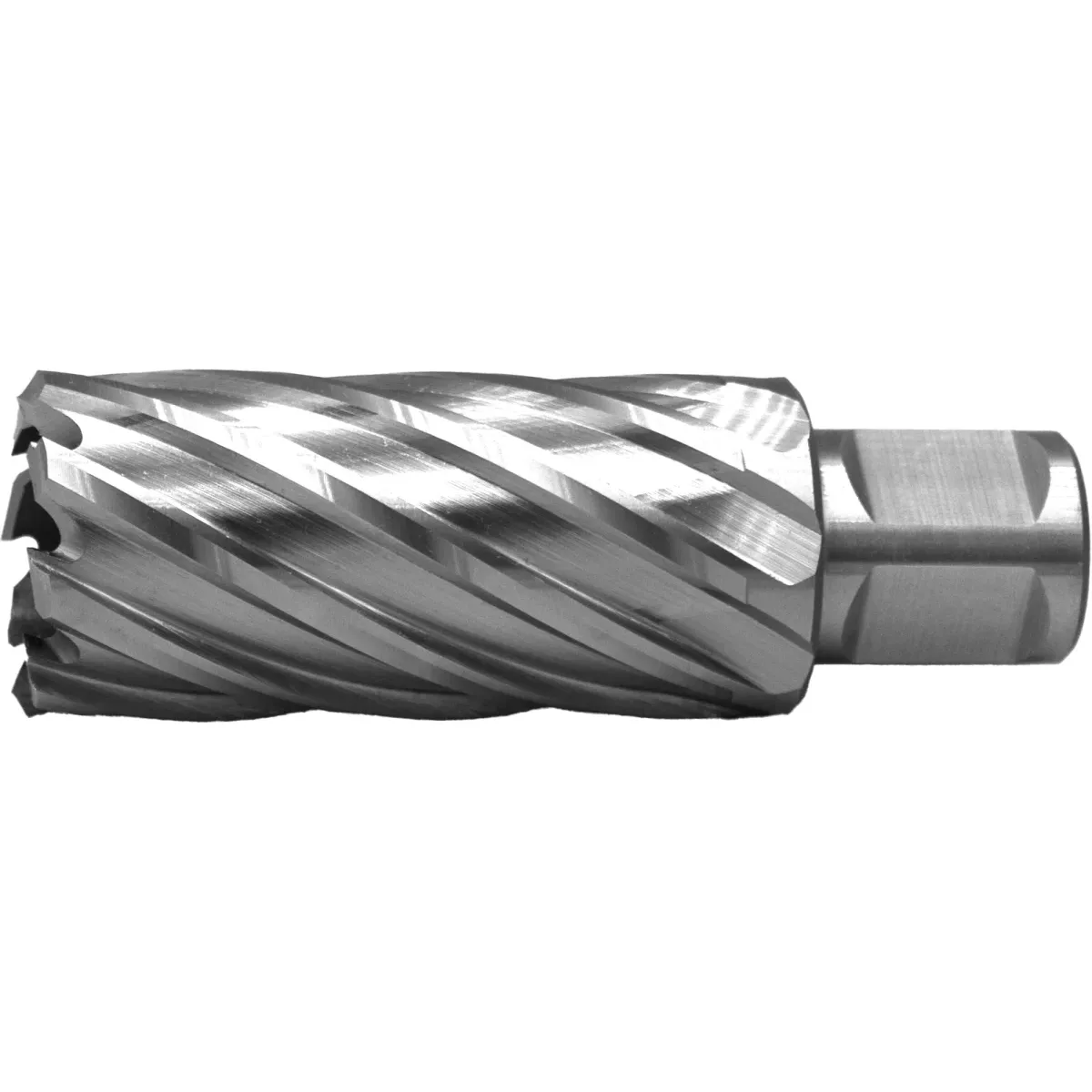 [62.148.1200] 62.148 ECO PRO HSS Kernboor snijdiepte 55 mm (12 mm)