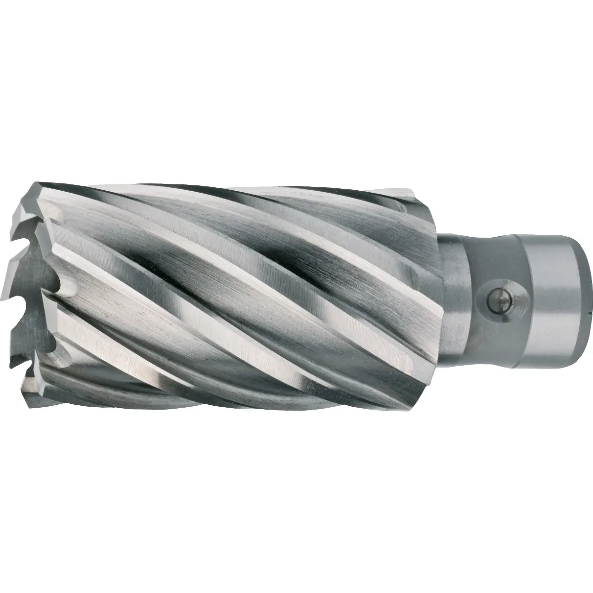 [62.250.1200Q] 62.250Q HSS-EX Kernboor met Fein QuickIN opname, snijdiepte 40 mm, in Quadrobox met ophangoog (12 mm)