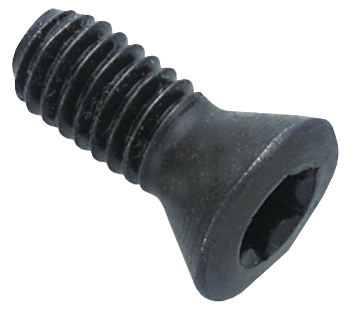 75.698 Torx-Schraube, Austauschplattenbohrer