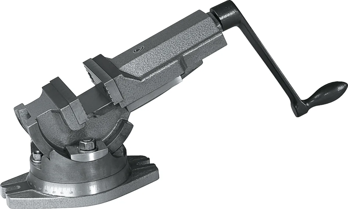 [88.260.0100] 88.260 Draai- en Zwenkbare Machineklem, type 6530 (100 mm)